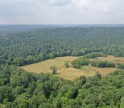 Building Sites, Creek And Marketable Timber In Edmonson Co, KY