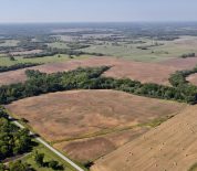 Crop And Hunting Acreage in Vernon, Co MO