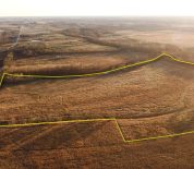 Income Producing And Hunting Farm In Marion Co IA