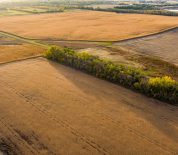 Prime Farmland Opportunity In Marshall Co, SD