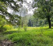 Secluded Building Lots In Wayne Co, OH