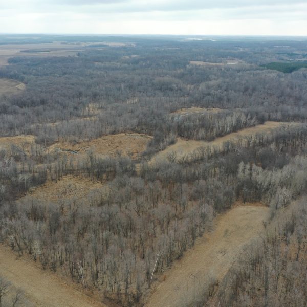 Top End Hunting Property In Otter Tail Co MN